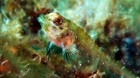 Busselton Jetty & Underwater Observatory Tour - Attractions Perth 7