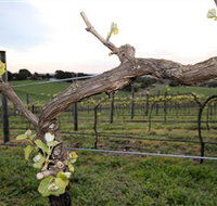 Nalbra Estate Wines - Attractions Perth