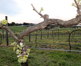 Nalbra Estate Wines - Attractions Perth 0