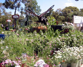 Zanthorrea Nursery - Attractions Perth 0