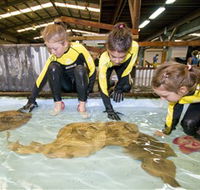 Australian Shark and Ray Centre - Attractions Perth
