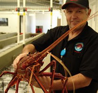 Lobster Shack - Attractions Perth