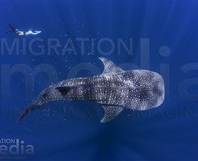 Migration Media - Attractions Perth 0
