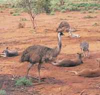 Hammond Park - Attractions Perth