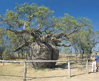 Book Derby Accommodation Vacations Attractions Perth Attractions Perth
