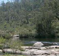 Wellington Discovery Forest - Attractions Perth