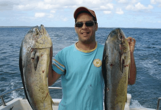 Jervis Bay Fishing and Charters - Attractions Perth