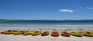 Jervis Bay Kayak & Paddlesports - Attractions Perth 5