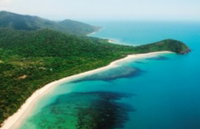 Jungle Tours and Trekking