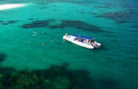 Ocean Safari - Attractions Perth 1