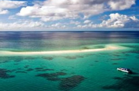 Ocean Safari - Attractions Perth 2