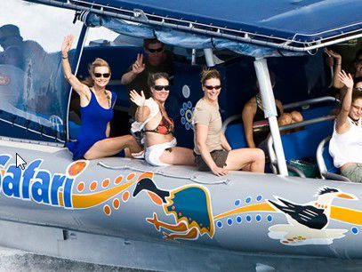 Ocean Safari - Attractions Perth 3