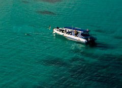 Ocean Safari - Attractions Perth 5