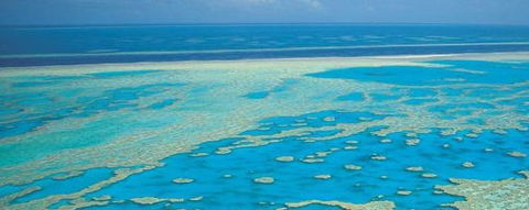Aristocat Snorkel And Scuba Port Douglas - Attractions Perth 3