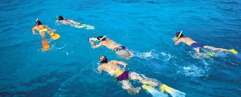 Aristocat Snorkel And Scuba Port Douglas - Attractions Perth 4