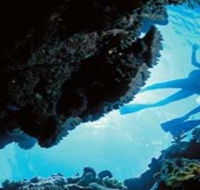Deep Sea Divers Den - Attractions Perth