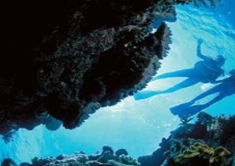Deep Sea Divers Den - Attractions Perth 0