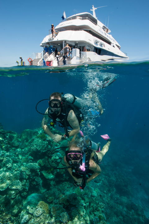 Down Under Cruise And Dive - Attractions Perth 0