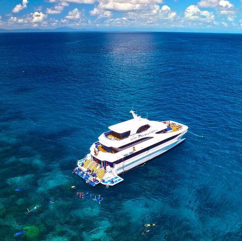 Down Under Cruise And Dive - Attractions Perth 1