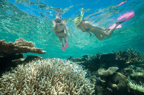 Down Under Cruise And Dive - Attractions Perth 4