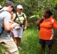 Ingan Tours - Spirit of the Rainforest Tour - Attractions Perth