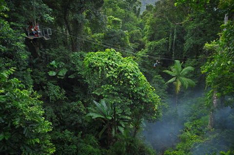 Jungle Surfing Canopy Tours And Jungle Adventures Nightwalks - Attractions Perth 3