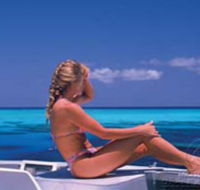 Mike Ball Dive Expeditions - Attractions Perth