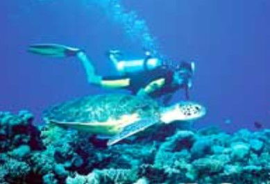 Poseidon Outer Reef Cruises - Attractions Perth 1