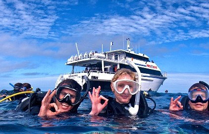 Pro Dive Cairns - Attractions Perth 0