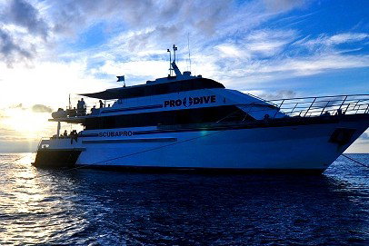 Pro Dive Cairns - Attractions Perth 1