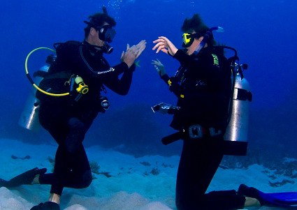 Pro Dive Cairns - Attractions Perth 2