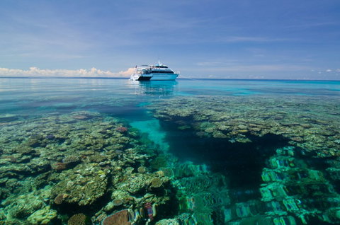 Pro Dive Cairns - Attractions Perth 4