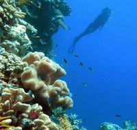 Reef Magic Cruises - Attractions Perth