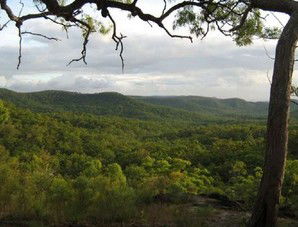 Cooktown Aboriginal Art Tours - Attractions Perth 1