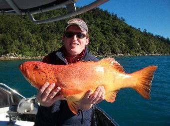 Gone Fishing By Coral Sea Fishing Charters Airlie Beach - Attractions Perth 0