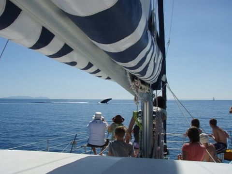 Illusions - Attractions Perth 2