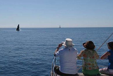 Illusions - Attractions Perth 5