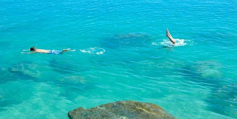 Salty Dog Sea Kayaking - Attractions Perth 1