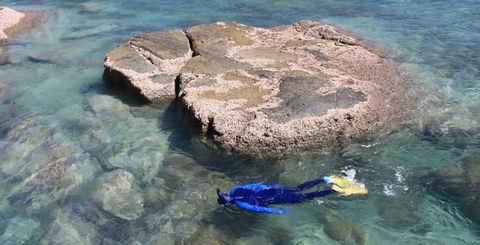 Salty Dog Sea Kayaking - Attractions Perth 6