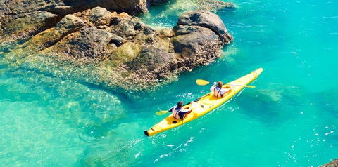 Salty Dog Sea Kayaking - Attractions Perth 9
