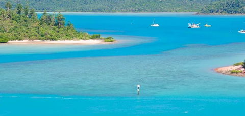 Salty Dog Sea Kayaking - Attractions Perth 10