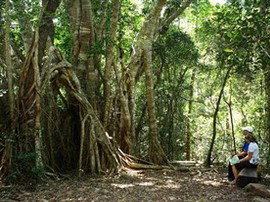 The Airlie Creek Track - Attractions Perth 0
