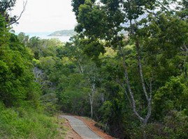 The Airlie Creek Track - Attractions Perth 1