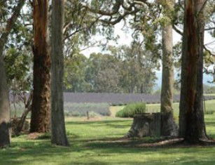 Cannon Creek QLD Attractions Perth