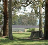 Aloomba Lavender - Attractions Perth