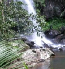 Araucaria Ecotours - Attractions Perth 4