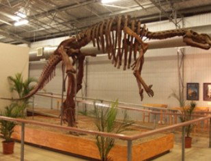 Australia's Dinosaur Trail - Attractions Perth 0