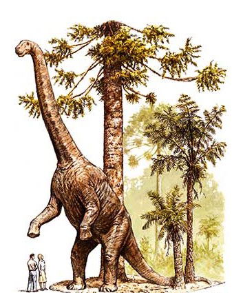 Australian Age Of Dinosaurs - Attractions Perth 2