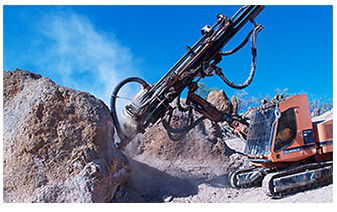 Australian Age Of Dinosaurs - Attractions Perth 3