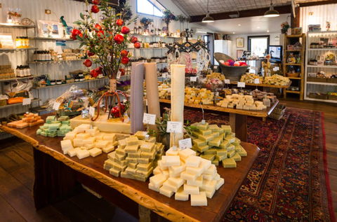 Vasse Virgin - Attractions Perth 3